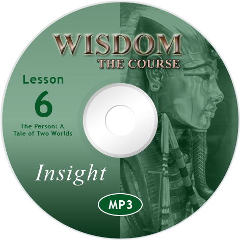 Online Wisdom Course Module 6 Audio MP3: Insight